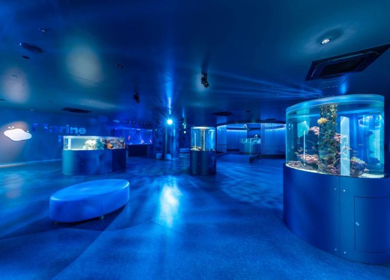 広島もとまち水族館 thumbnail