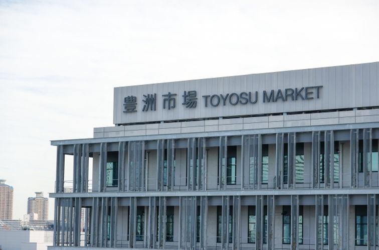 Toyosu Market thumbnail
