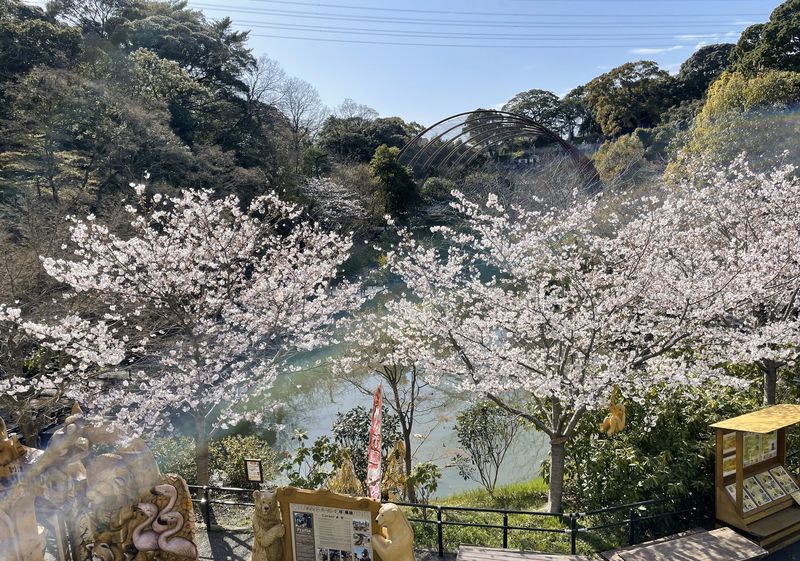 到津の森公園 thumbnail